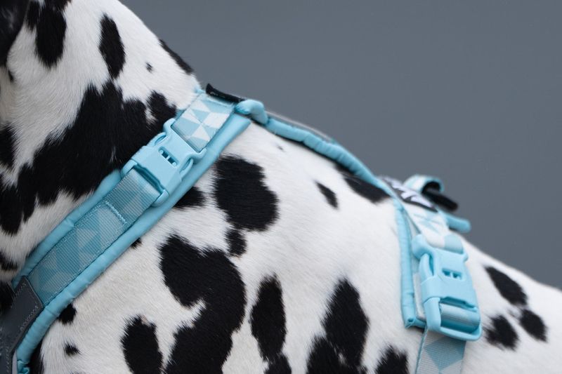 NONSTOP Trekking Line Harness CLIP'N