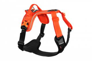 NON-STOP RAMBLE HARNESS SVART/ORANGE