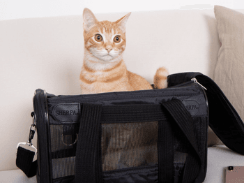 Hovedbilde Bur / veske