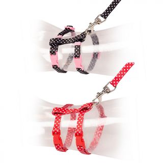 KATTESELE KITTEN WHITE DOTS 15-25CM 125CM/8MM SORT/RØD