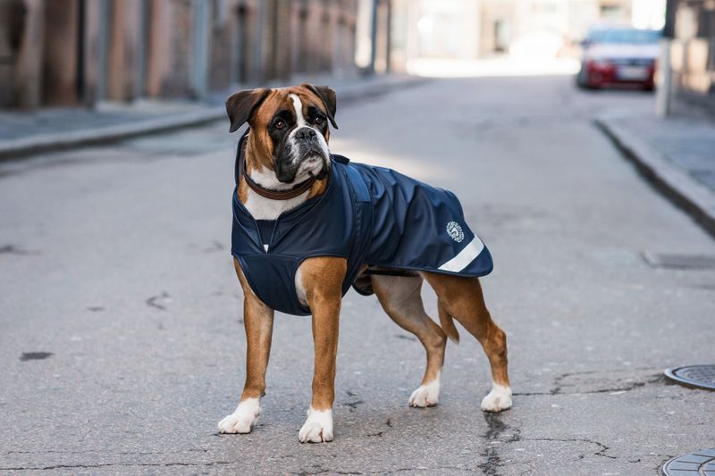 JACSON PEGGY REGNDEKKEN MARINE