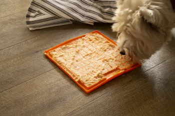 Hovedbilde Slikkematter