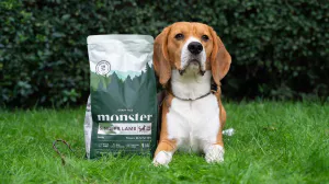 Monster