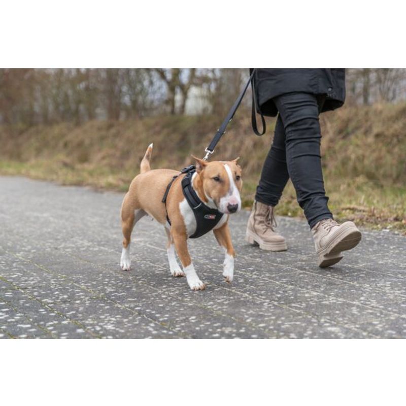FLEXMESH HUNDESELE