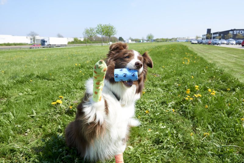 FUN-FLEX BANDASJE 10CM