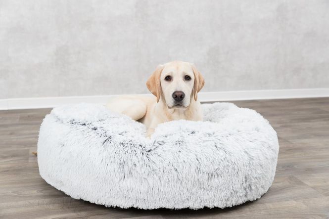 Hovedbilde HUNDE/KATTEPUTE HARVEY Ø80CM HVIT/SORT LANGHÅRET ...