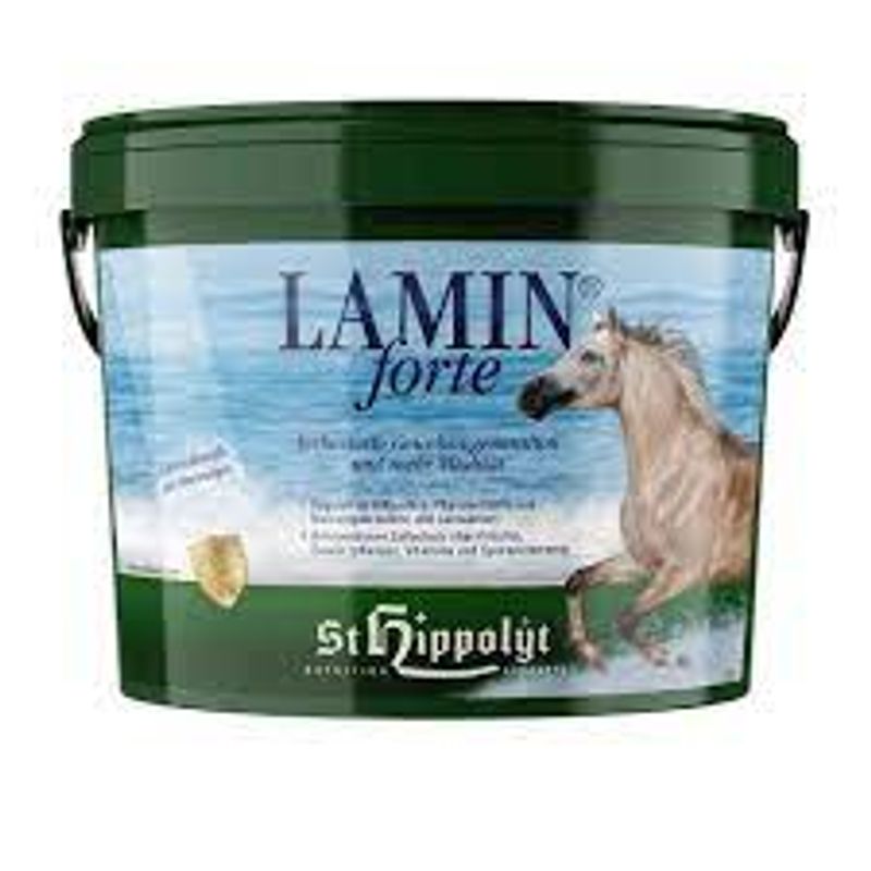 LAMIN FORTE 3kg