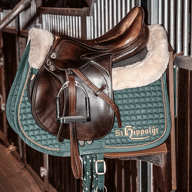 Hovedbilde ESKADRON UNDERLAG DRESSUR