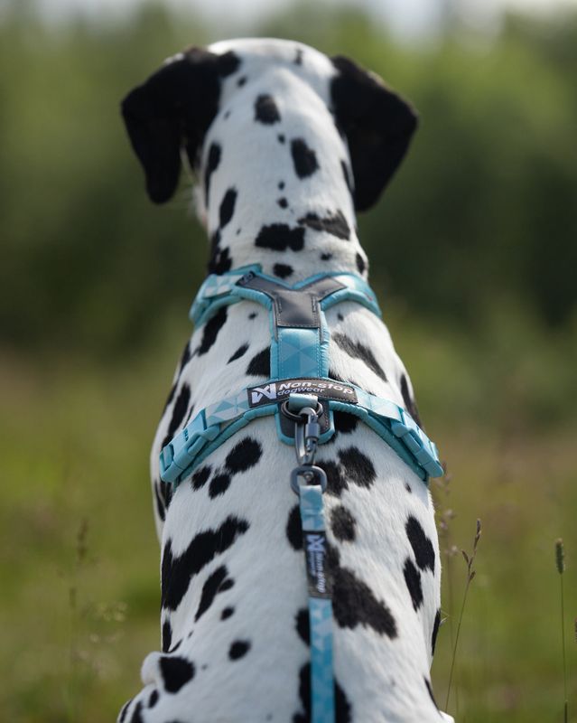 NONSTOP Trekking Line Harness CLIP'N