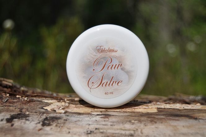 Hovedbilde EKHOLMS PROB POTESALVE 40ml