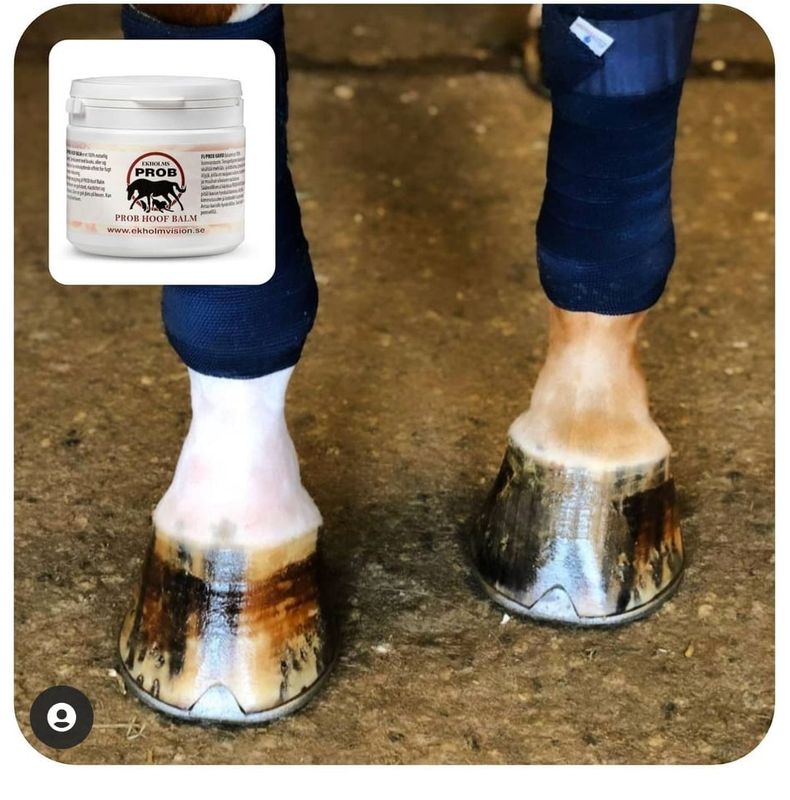 EKHOLMS PROB HOOF BALSAM