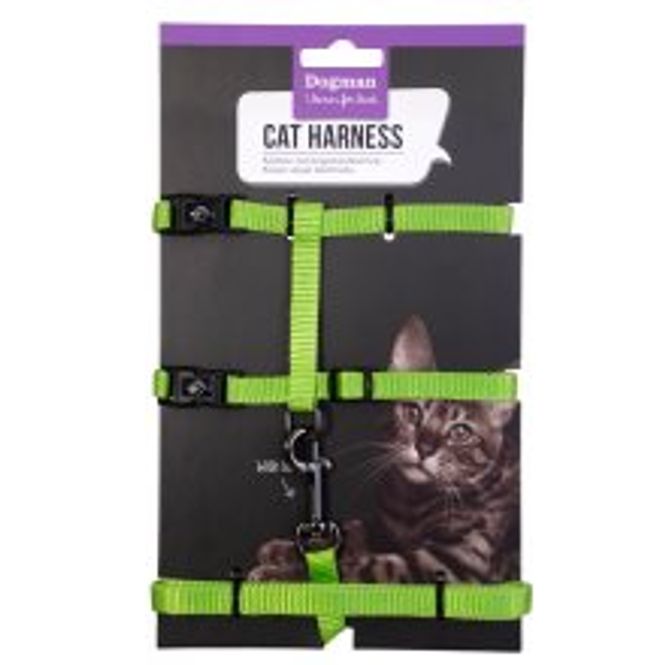 Hovedbilde KATTESELE-SETT FINDUS GRØNN