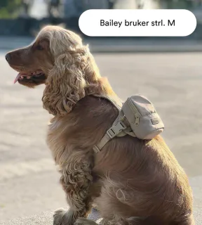 Yakatass Hundesele 