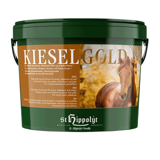 KIESELGOLD 4KG