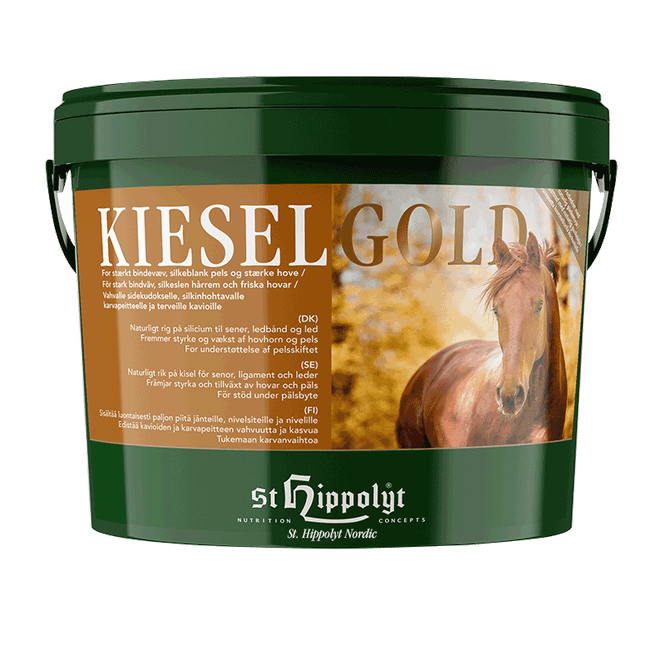 Hovedbilde KIESELGOLD 4KG