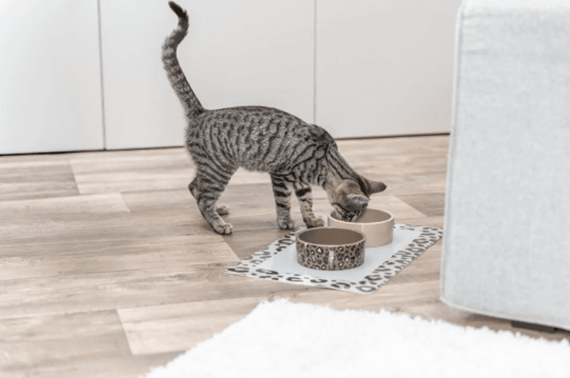 LEOPARD SKÅL O,3L/Ø12CM