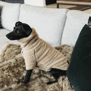 KENTUCKY DOG SWEATER TEDDY FLEECE - BEIGE 