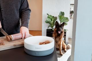 COMPANION+ HUNDEPØLSE WILD BOAR 350g