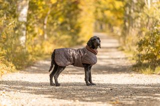 Trixie Minot Sherpa Hundedekken
