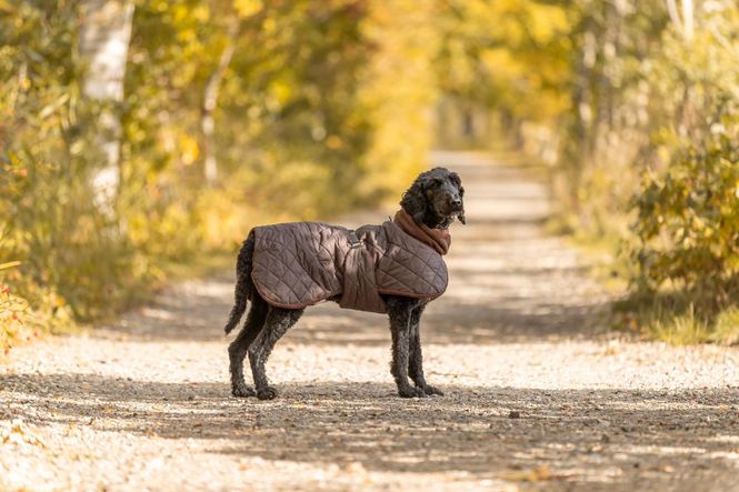 Hovedbilde Trixie Minot Sherpa Hundedekken