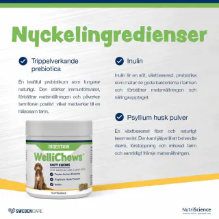 Wellichews Digestion Small Dog/cat