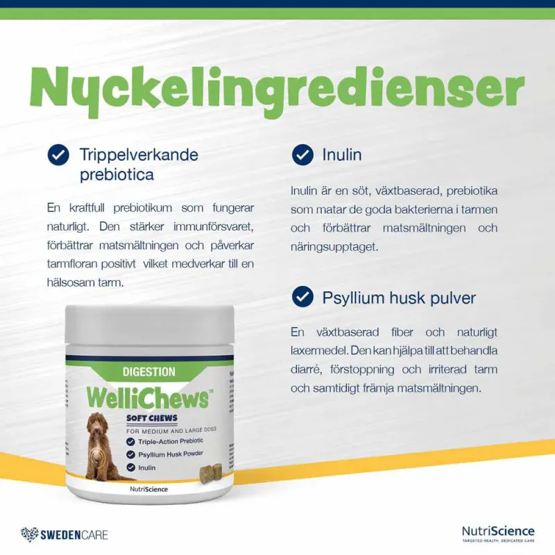Wellichews Digestion Small Dog/cat