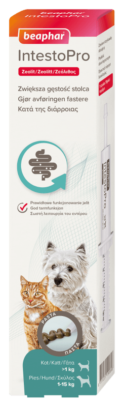 IntestoPro Pasta Hund/Katt 20ml