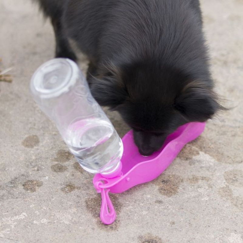 Dogman Vannflaske Mille M 500ml