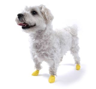 PAWZ RUBBER DOG BOOTS 12pk