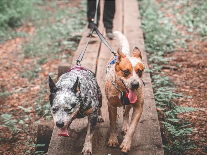 Hovedbilde TOURING DOUBLE 13mm