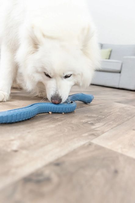 Hovedbilde Snack-Snake i TPR 59cm