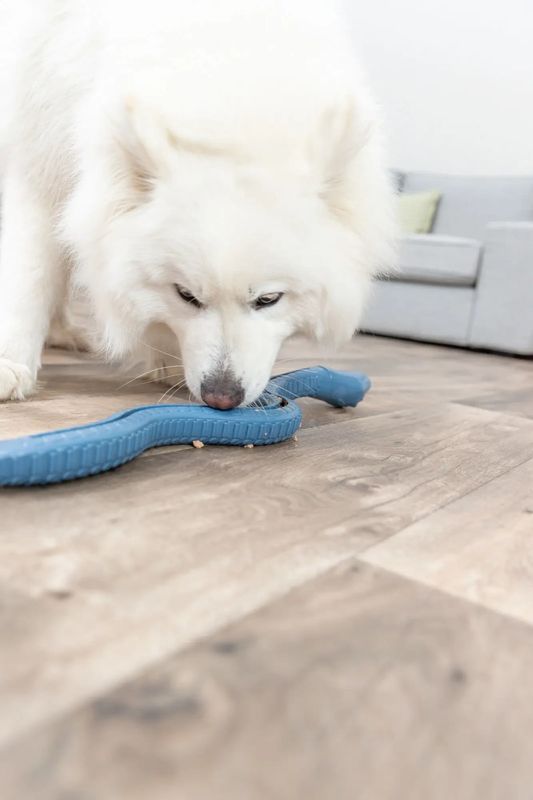 Snack-Snake i TPR 59cm