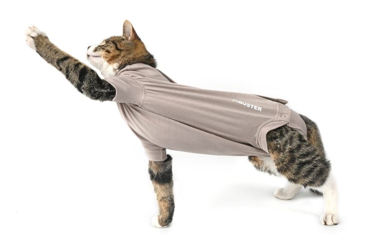 BUSTER BODY SUIT STEP´N GO KATT