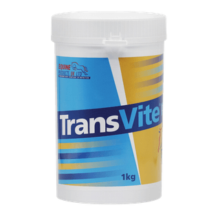 TRANSVITE GUT BALANCER 1KG