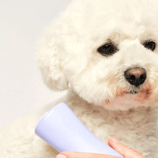 Pet Teezer Detangling Brush