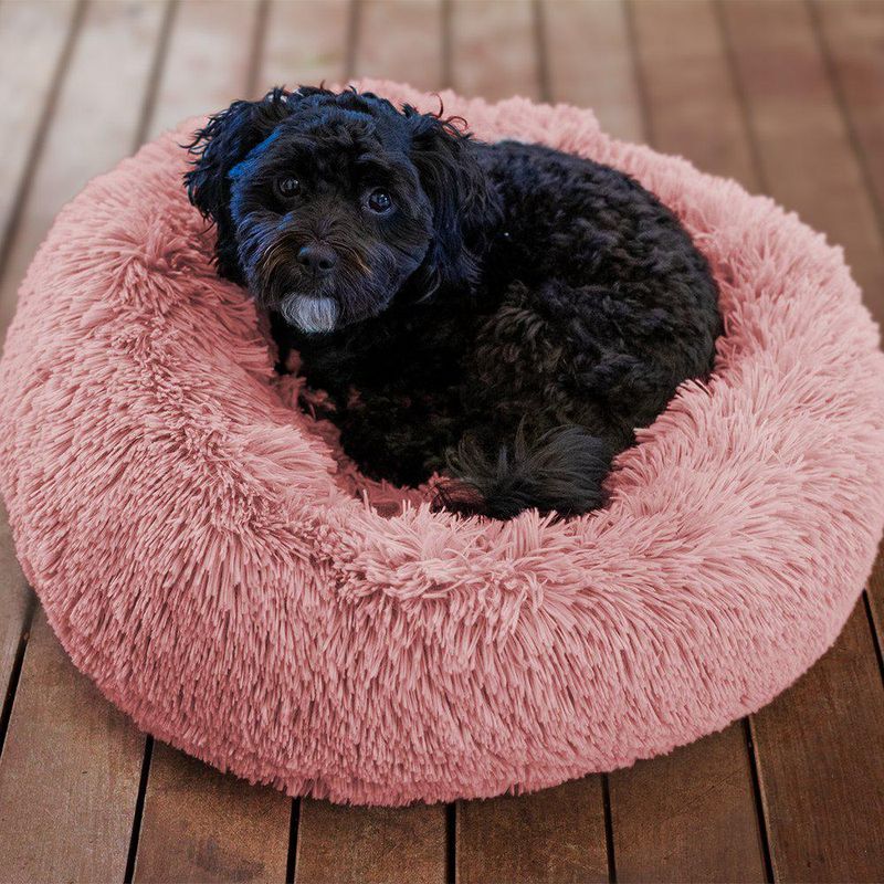 OZAMI HUNDESENG DORIS ROSA