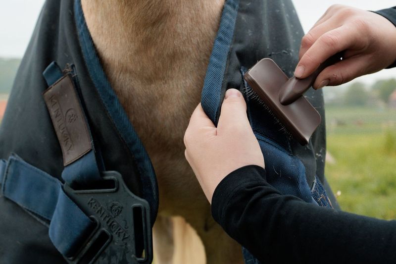 Grooming Deluxe Velcro Cleaning Brush