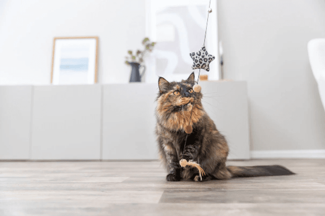 Hovedbilde KATTESTAV MED STJERNE OG FJÆR