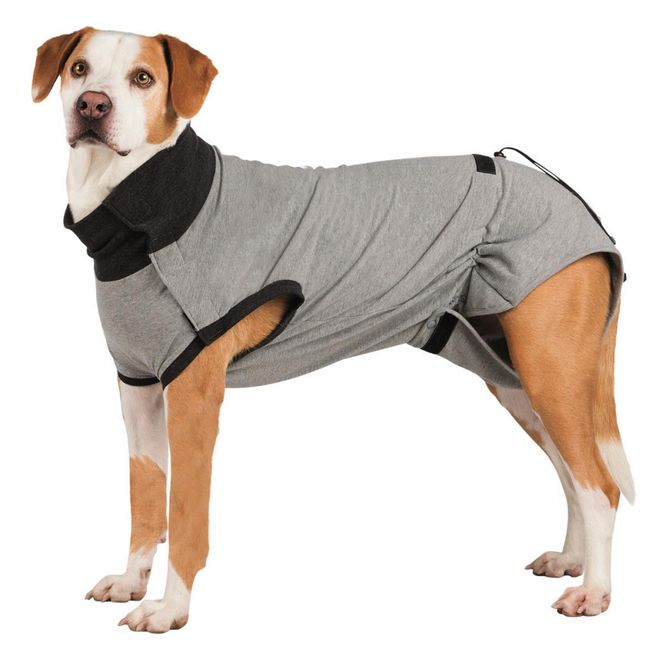 Hovedbilde TRIXIE BESKYTTELSE DRAKT TIL HUND GRÅ 