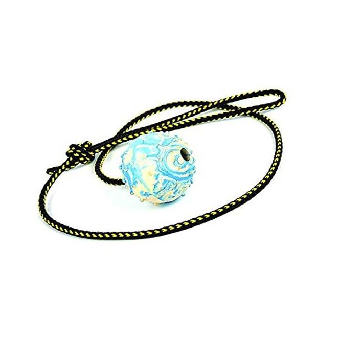 Hovedbilde DINGO RÅGUMMIBALL MED SNOR